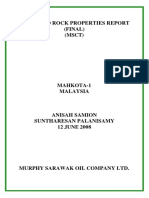 Advanced Rock Properties Report (Final) (MSCT)