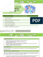 Contenido Programatico Decimo