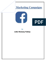 Facebook Marketing Campaigns: Lidia Romany Fahmy
