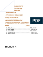 Advanced Programming Lab Documentation Assignment