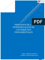 Principios de La Interpretación de Los DD - FF