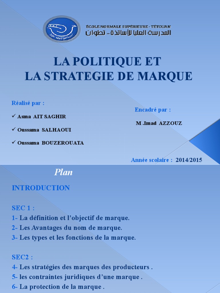 Politique et Stratégie de Marque | PDF | Gestion de marque | Marque