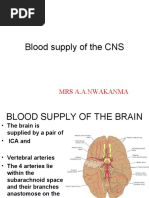 Blood Supply of The CNS: Mrs A.A.Nwakanma