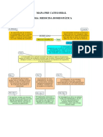 MAPA PRECATEGORIAL. DOC.