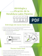 Embriología y Clasificación de La Hendidura Labio Palatina