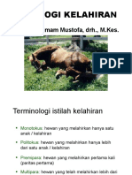 03-Fisiologi Kelahiran