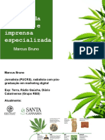 Mercado Da Cannabis e Imprensa Especializada