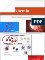 A. Slide Anemia DR Rina