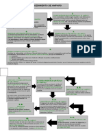 1 PROCEDIMIENTO DE AMPARO