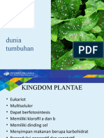 Dunia - Tumbuhan - Plantae - 1