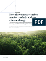 How The Voluntary Carbon Market Can Help Address Climate Change