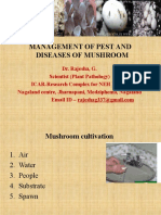 Management of Pest and Diseases of Mushroom