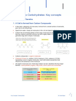 Key Concepts Carbohydrates