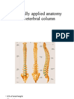 Clinically Applied Anatomy of Veterbral Column