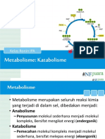 Metabolisme 1 (Katabolisme Sel)