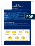 Nutrition in Animals Notes