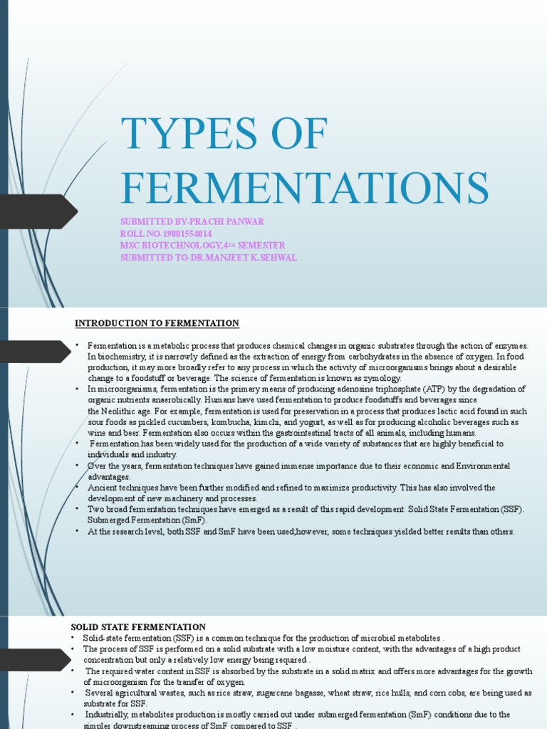 SSF vs SmF: Fermentation Techniques | PDF | Fermentation | Growth Medium