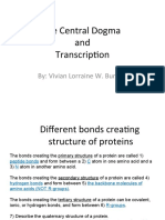 The Central Dogma and Transcription: By: Vivian Lorraine W. Bungay