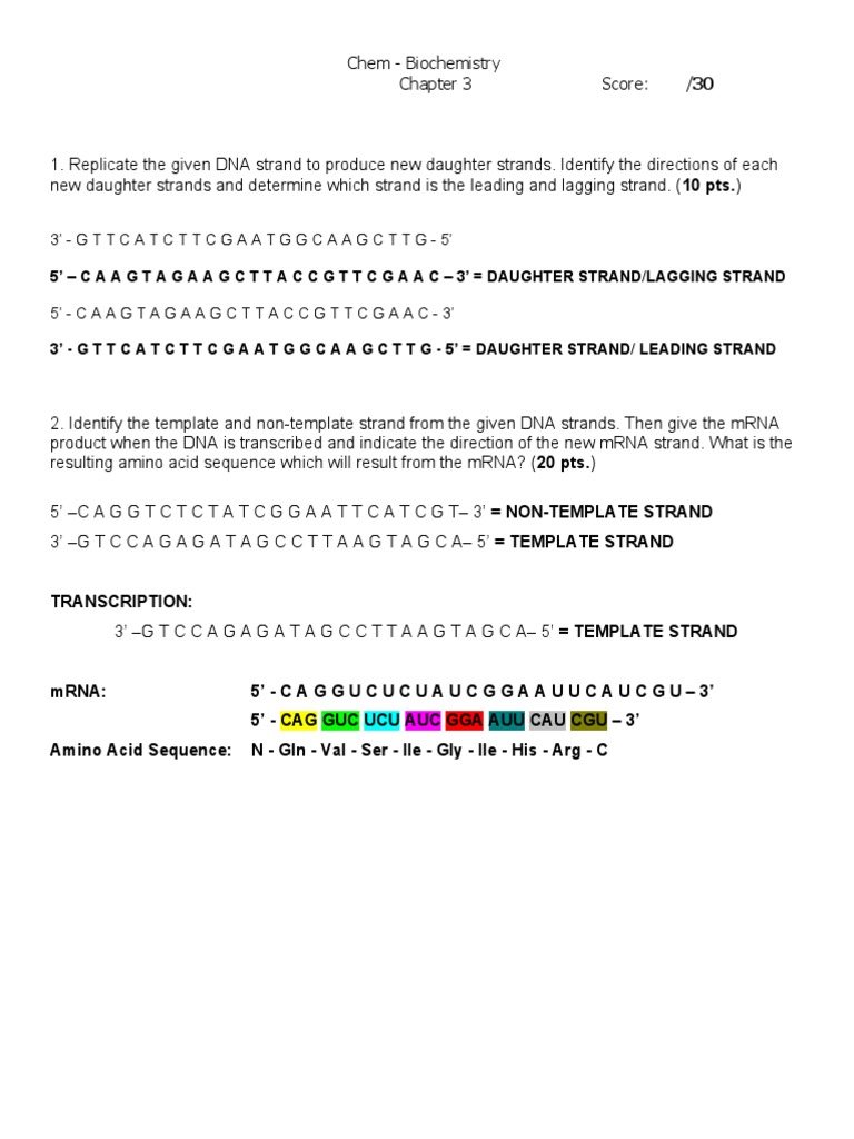 DNA Replication and Transcription Guide | PDF
