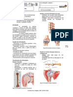 Aula_06_1_Ano_Unid_02_Ardaliao