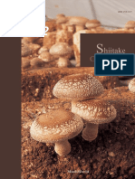 Mushroom Growers Handbook 2 - Shiitake Cultivation