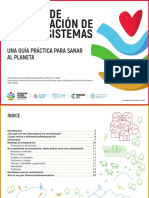 Ecosystem Restoration Playbook SpanishV3