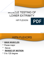 Hip Flexion Sartorius