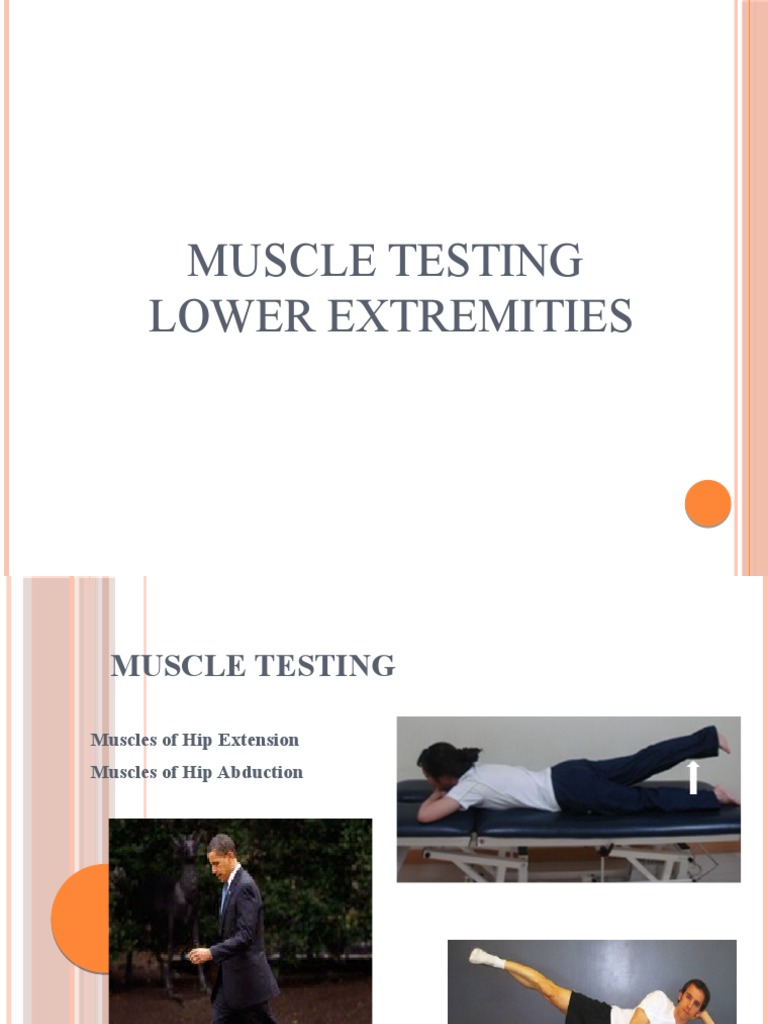 Muscle Testing Hip Extension Abductio | PDF | Anatomical Terms Of ...