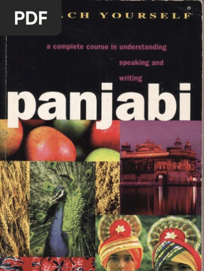 Teach Yourself Panjabi Pdf Business