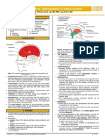 2023.neuroscience - Trans12.diencephalon & Visual System