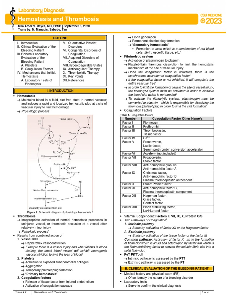 Hemostasis and Thrombosis Overview | PDF | Coagulation | Platelet