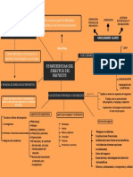 Mapa Mental - Competencias Del Director de Proyectos