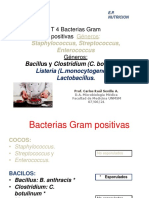 T. 4B. Bacilos Gram Positivo - (EXAMEN)