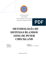 METODOLOGÍA DE SISTEMAS BLANDOS (SSM) DE PETER CHECKLAND