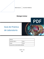 Guia de Practica Laboratorio Señalización Celular