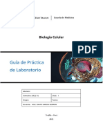 Guia Practica Laboratorio Aparato de Golgi y Lisosomas