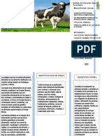 BPM Del Manejo de Las Vacas Lecheras