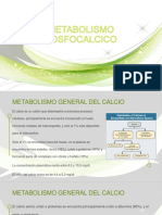 Metabolismo Fosfocalcico - Dr. Casas Matias