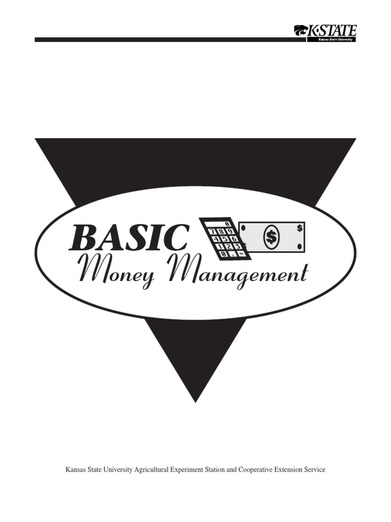 Basic Money Management PDF Credit Card Transaction Account