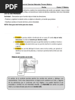 Guía de Ciencias Naturales Tercero Básico El Sonido