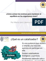 Por María José Cabrera Crespo: ¿Cómo Actúan Las Enzimas para Mantener El Equilibrio en Los Organismos Vivos?