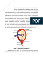 Patogenesis + DDX Korioamnionitis