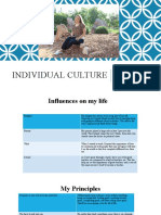 Individual Culture Project