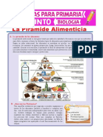 La pirámide alimenticia guía para una dieta saludable