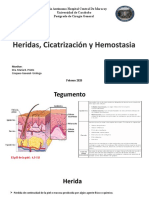 Herida, Cicatrizacion y Hemostasia SEMINARIO