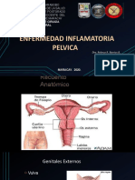 Seminario Pelviperitonitis