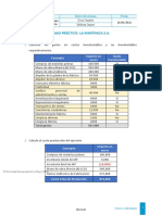 CASO - Martinicaa Control de Rendimiento