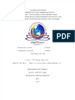 PDF Jurnal Pratikum Biofarmasetika Dan Farmakokinetika V Fix