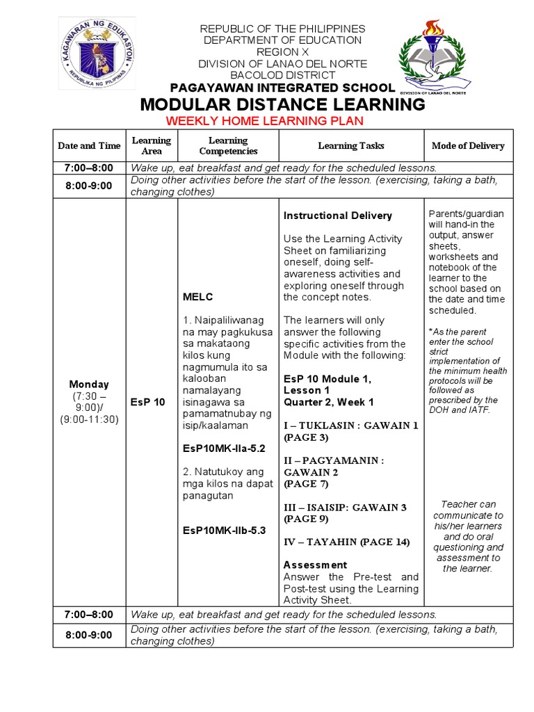 Modular Distance Learning: Weekly Home Learning Plan | PDF | Physical ...