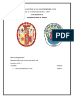 NEURONAS: ESTRUCTURA Y CLASIFICACIÓN